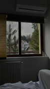 lital.oss Altpins Profile Picture