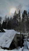 lital.oss Altpins Profile Picture