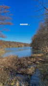 lital.oss Altpins Profile Picture