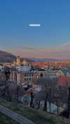 lital.oss Altpins Profile Picture