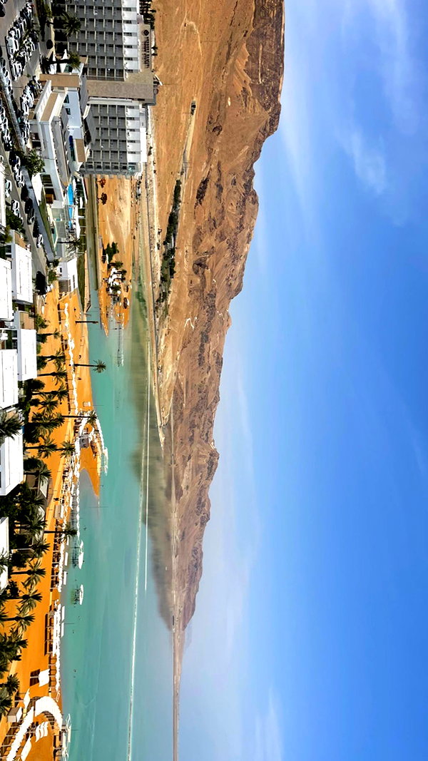 lital.oss instagram image archive image