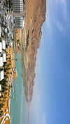 lital.oss Altpins Profile Picture