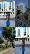 lital.oss Altpins Profile Picture