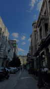 lital.oss Altpins Profile Picture