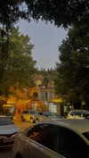 lital.oss Altpins Profile Picture