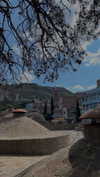 lital.oss Altpins Profile Picture