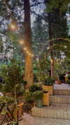 lital.oss Altpins Profile Picture