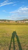 lital.oss Altpins Profile Picture