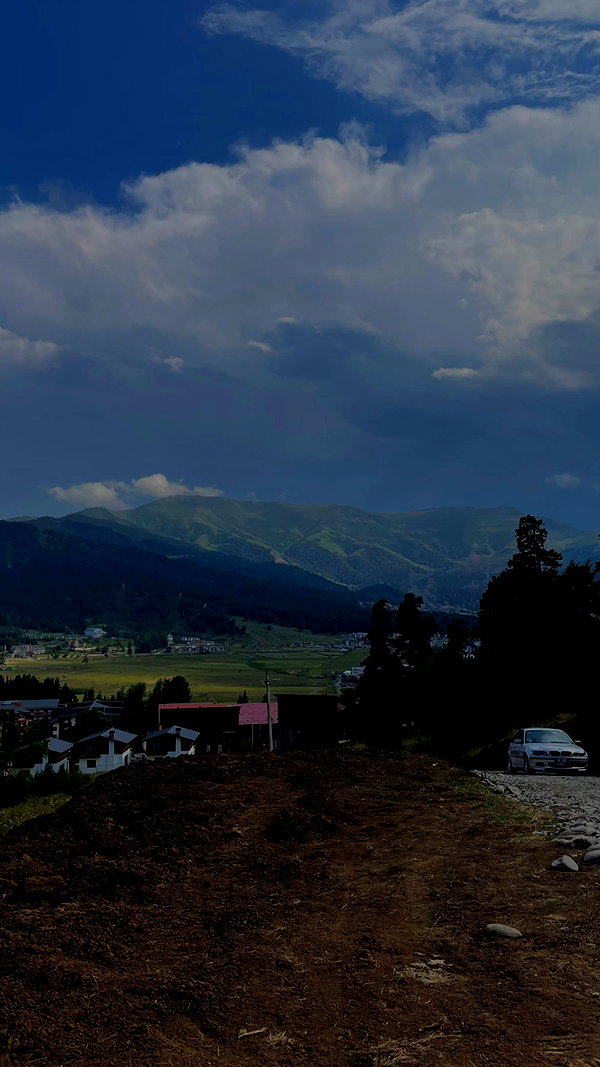 lital.oss lital.oss archive image
