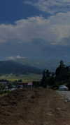 lital.oss Altpins Profile Picture