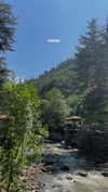 lital.oss Altpins Profile Picture