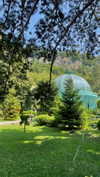 lital.oss Altpins Profile Picture