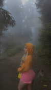 lital.oss Altpins Profile Picture