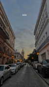 lital.oss Altpins Profile Picture