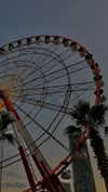 lital.oss Altpins Profile Picture