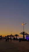 lital.oss Altpins Profile Picture
