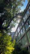 lital.oss Altpins Profile Picture