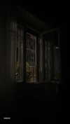 lital.oss Altpins Profile Picture