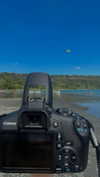 lital.oss Altpins Profile Picture