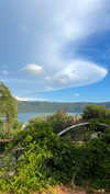 lital.oss Altpins Profile Picture