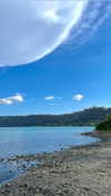 lital.oss Altpins Profile Picture