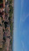 lital.oss Altpins Profile Picture