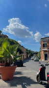 lital.oss Altpins Profile Picture