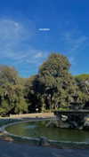 lital.oss Altpins Profile Picture