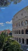 lital.oss Altpins Profile Picture