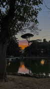 lital.oss Altpins Profile Picture