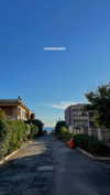 lital.oss Altpins Profile Picture