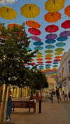 lital.oss Altpins Profile Picture