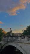 lital.oss Altpins Profile Picture