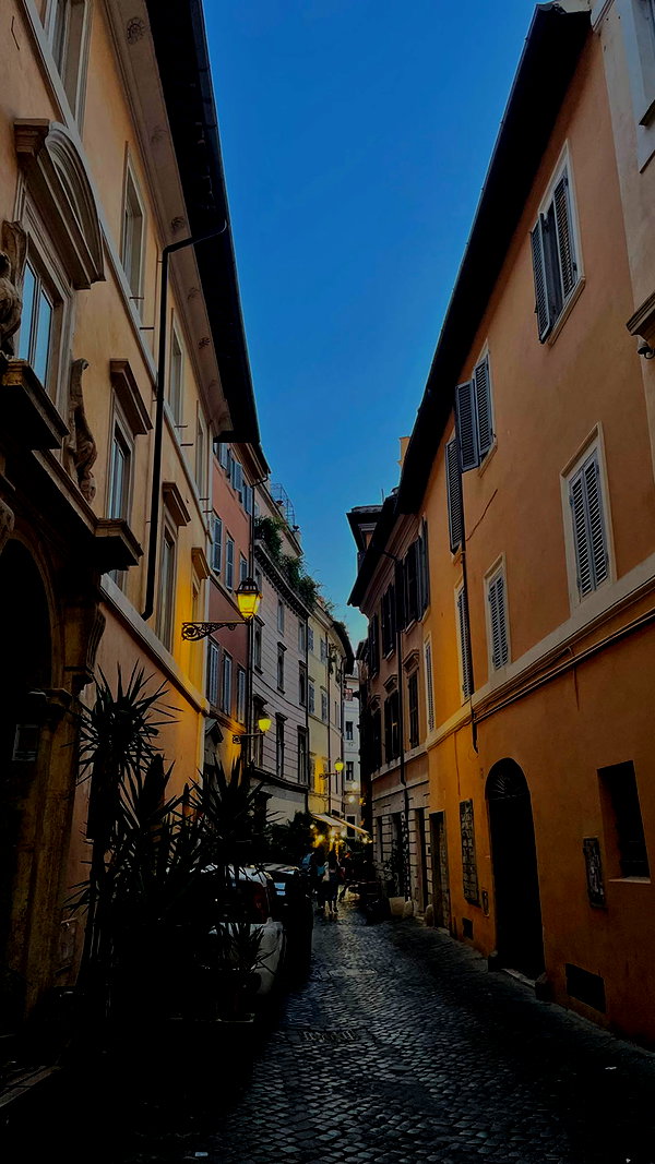 lital.oss lital.oss archive image
