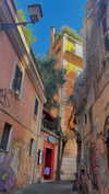 lital.oss Altpins Profile Picture