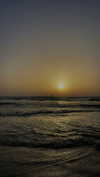 lital.oss Altpins Profile Picture