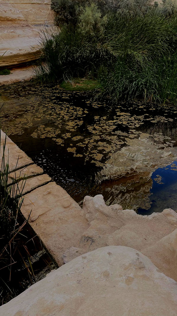 lital.oss lital.oss archive image