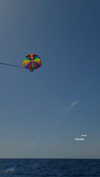 lital.oss Altpins Profile Picture