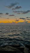 lital.oss Altpins Profile Picture