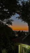 lital.oss Altpins Profile Picture