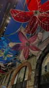 lital.oss Altpins Profile Picture