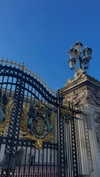 lital.oss Altpins Profile Picture