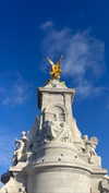 lital.oss Altpins Profile Picture