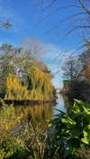 lital.oss Altpins Profile Picture