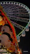 lital.oss Altpins Profile Picture