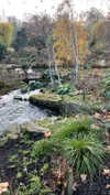lital.oss Altpins Profile Picture