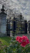 lital.oss Altpins Profile Picture