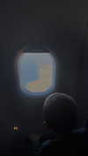 lital.oss Altpins Profile Picture