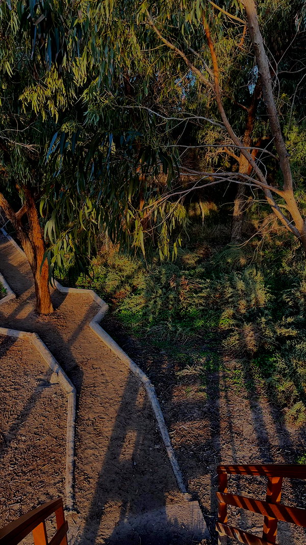 lital.oss lital.oss archive image