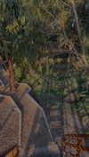 lital.oss Altpins Profile Picture